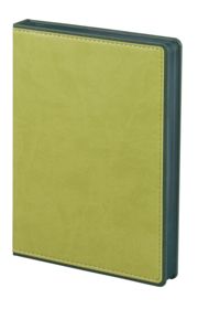 Ежедневник FreeNote, датированный, зеленый